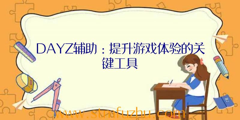 DAYZ辅助：提升游戏体验的关键工具
