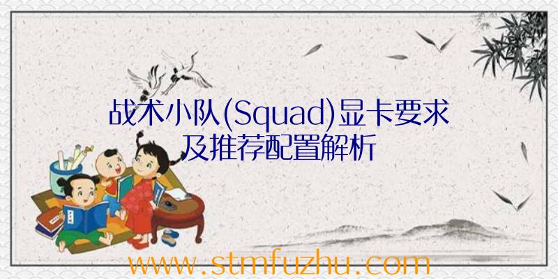 战术小队(Squad)显卡要求及推荐配置解析