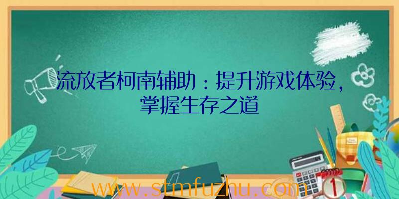 流放者柯南辅助：提升游戏体验，掌握生存之道