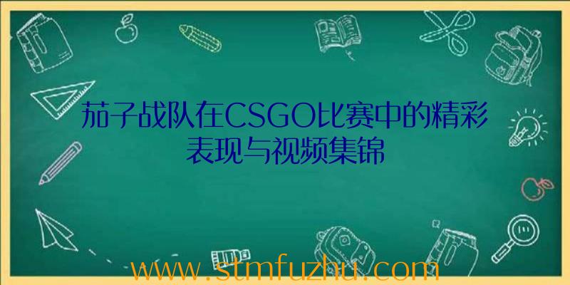 茄子战队在CSGO比赛中的精彩表现与视频集锦